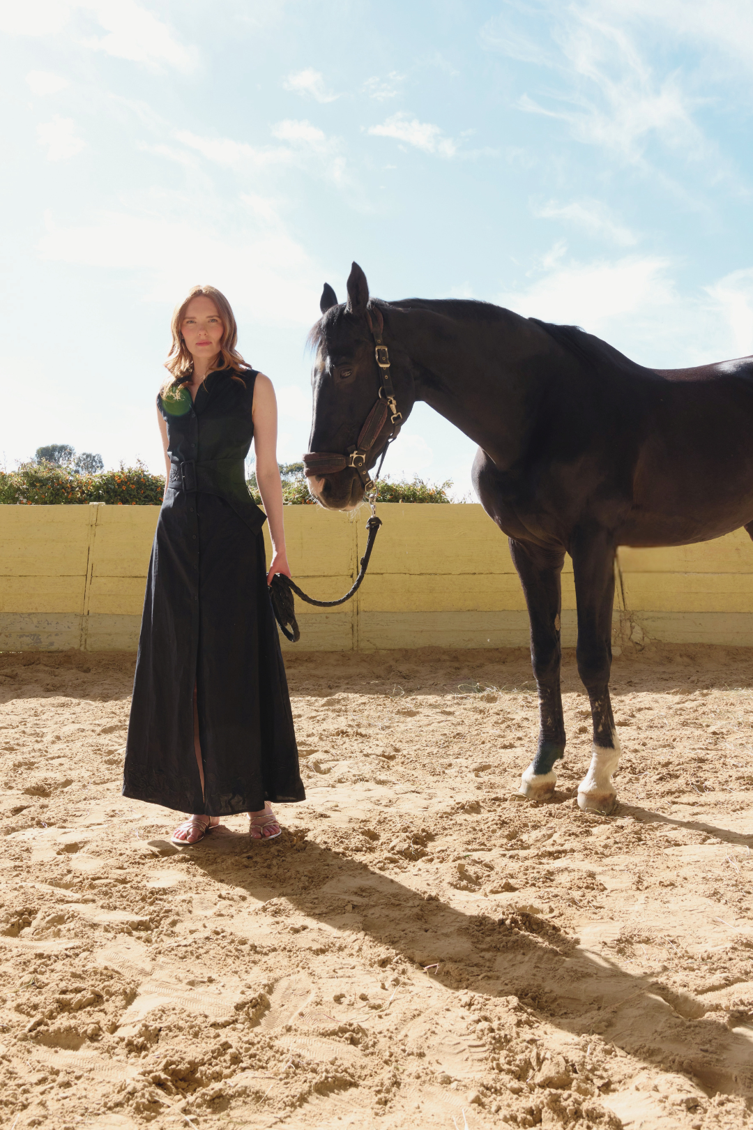 Annie Florale Embroidered Cotton Dress | Black