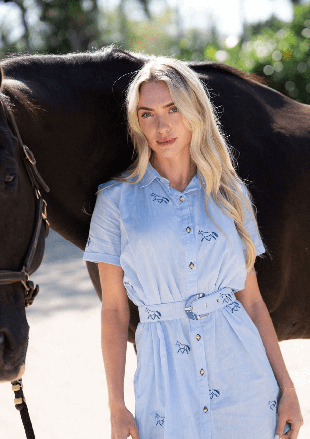 Leonor Shirt-Dress | Embroidered Horses | Baby Blue & Navy - RönnerDressS