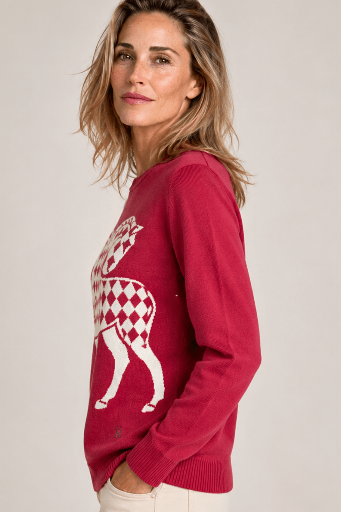 The Harlequin Horses Sweater | Cherry - RönnerXS