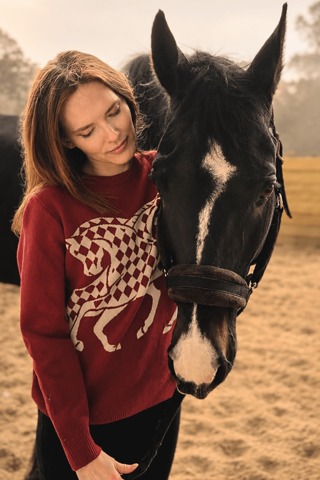 The Harlequin Horses Sweater - RönnerS