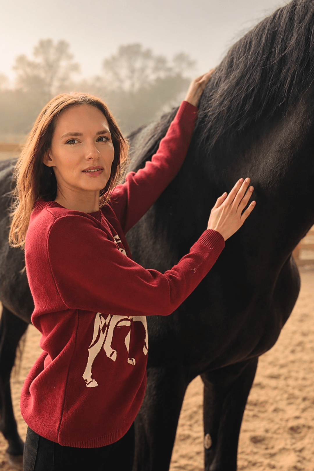 The Harlequin Horses Sweater - RönnerS