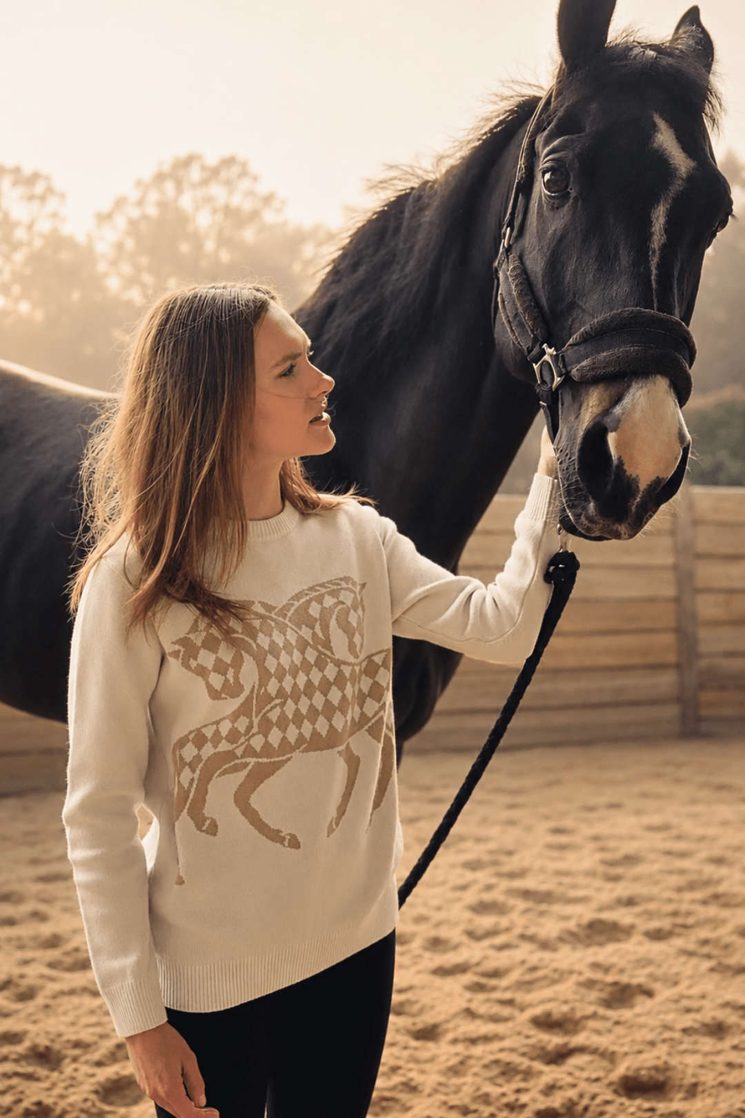 The Harlequin Horses Sweater - RönnerS