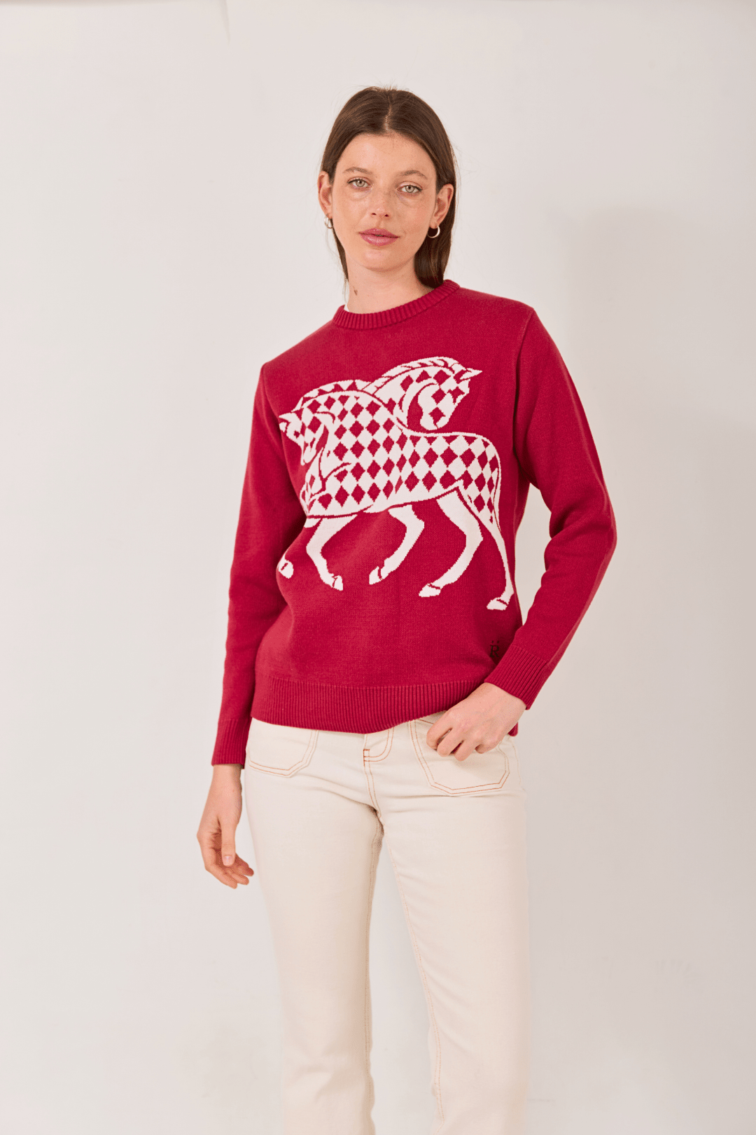 The Harlequin Horses Sweater - RönnerCherry