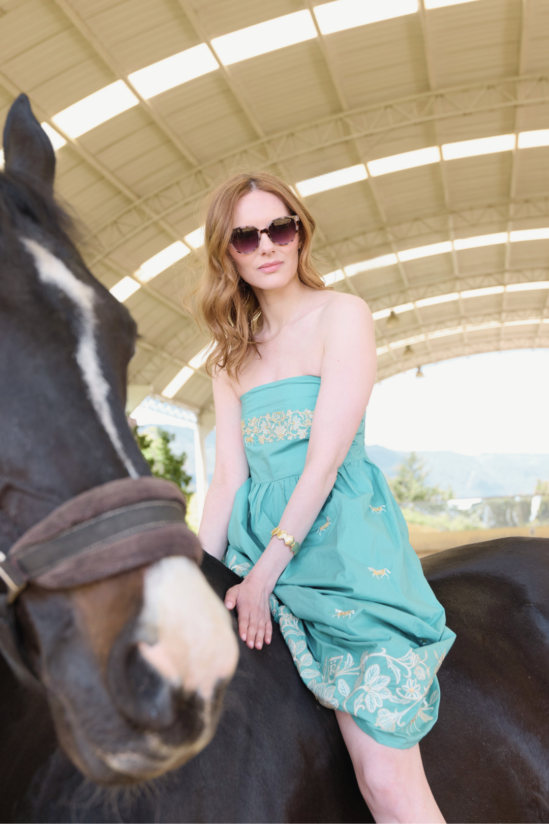 Garland Embroidered Cotton Dress
