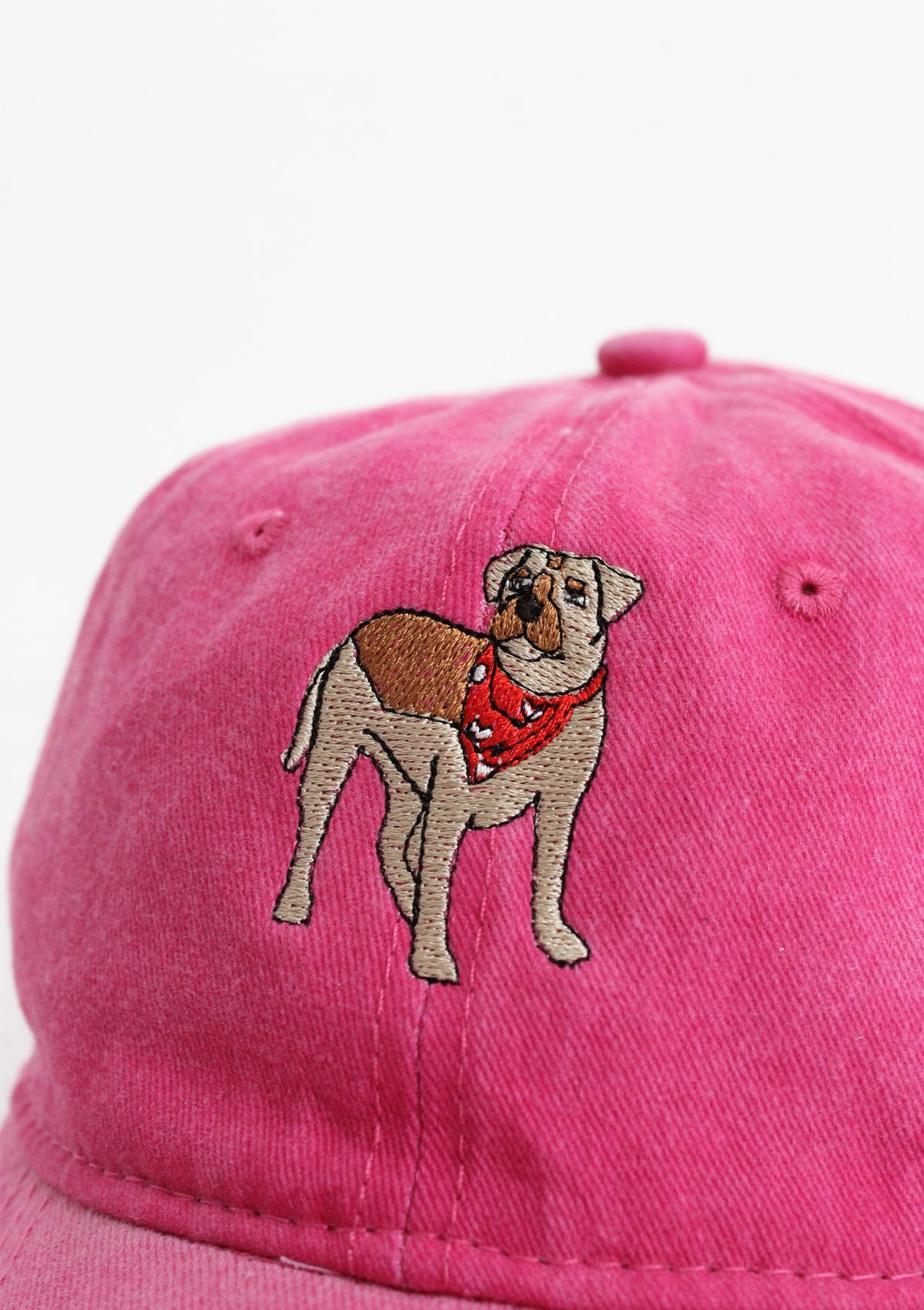 Equestrian Cotton Loyal Luck Cap | Pink