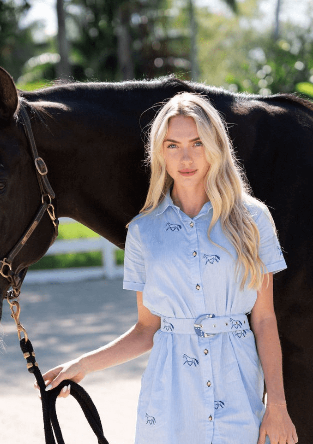 Leonor Shirt-Dress | Embroidered Horses | Baby Blue & Navy - RönnerDressS