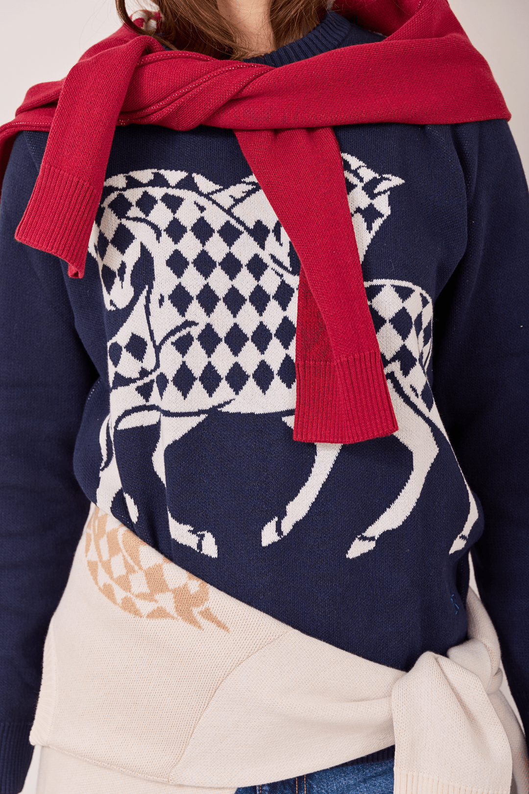 The Harlequin Horses Sweater - RönnerCherry